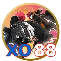 XO88